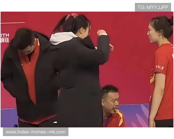 球员家人见证比赛，媒体捕捉温情瞬间，球员家属